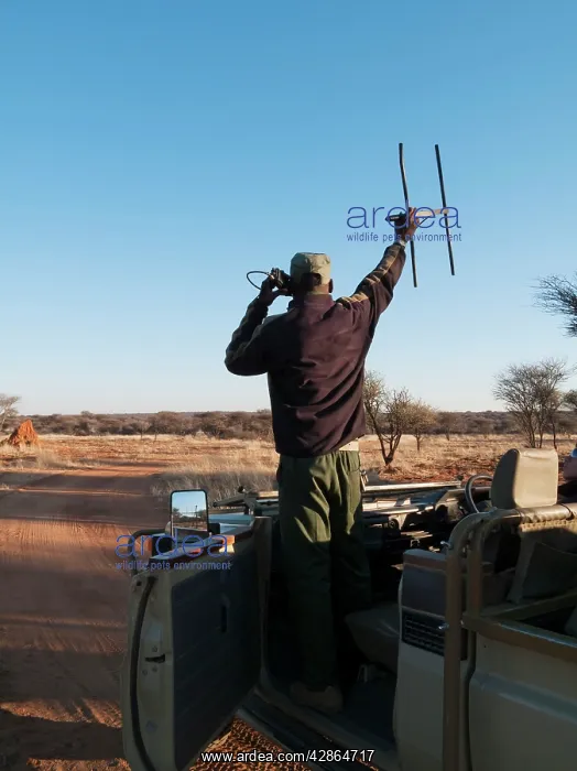  : Tracker - Radio tracking a Leopard at the Okonjima