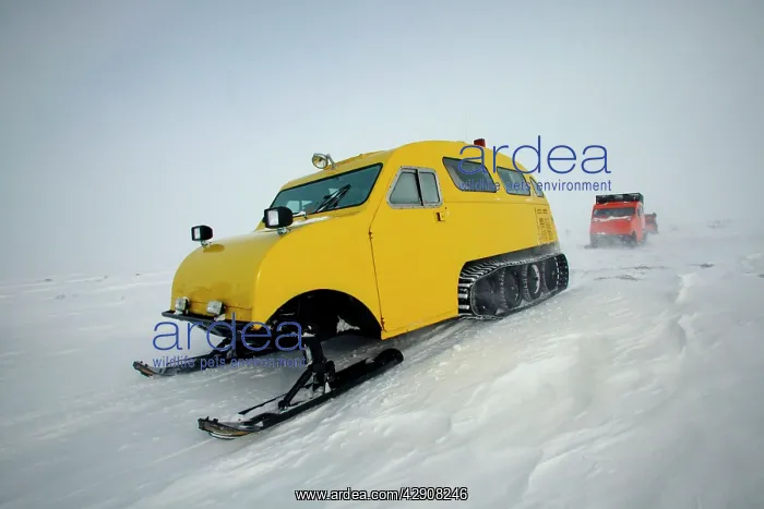  : Tracking Polar Bears
