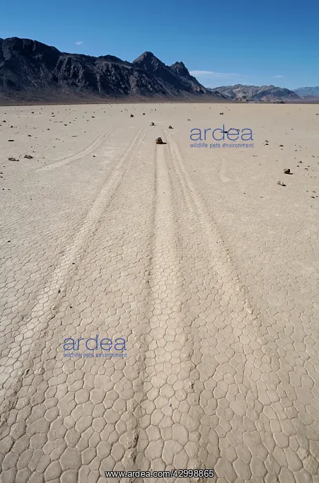 : Tracks created by the mysterious moving rocks at : Tracks created by the mysterious moving rocks at