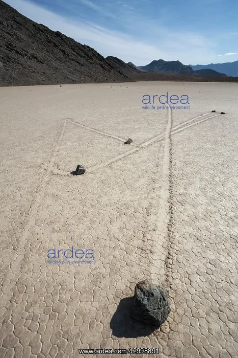  : Tracks created by the mysterious moving rocks at