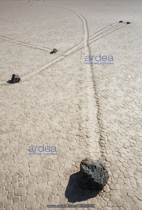  : Tracks created by the mysterious moving rocks at