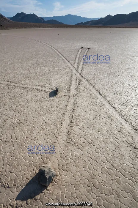 : Tracks created by the mysterious moving rocks at : Tracks created by the mysterious moving rocks at