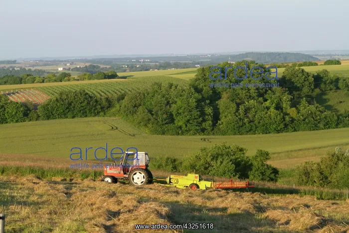 : Tractor baling hay west of Angouleme in : Tractor baling hay west of Angouleme in