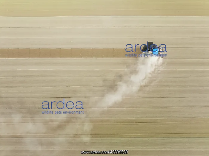 : Tractor at field work. Aerial view. Drone shot : Tractor at field work. Aerial view. Drone shot