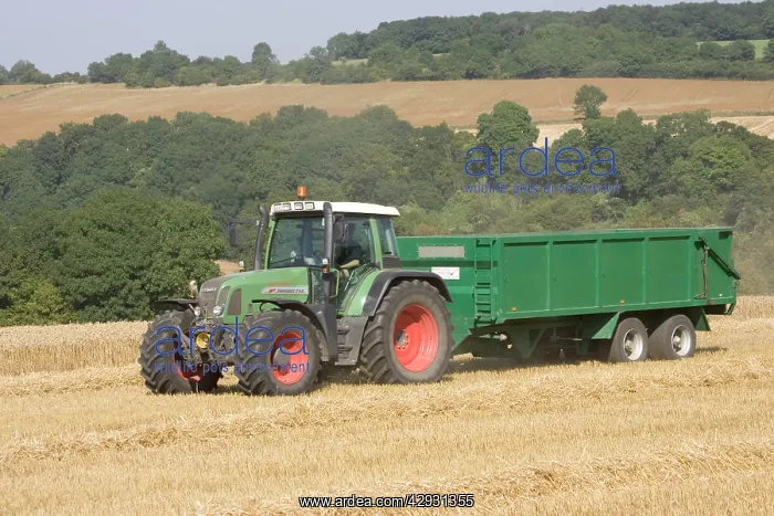: Tractor hauling wheat from combine harvester : Tractor hauling wheat from combine harvester