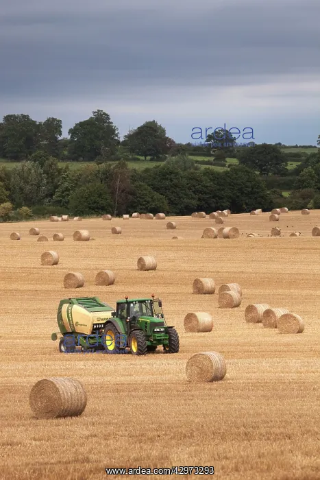 : Tractor making bales of hay in freshly cut wheat : Tractor making bales of hay in freshly cut wheat