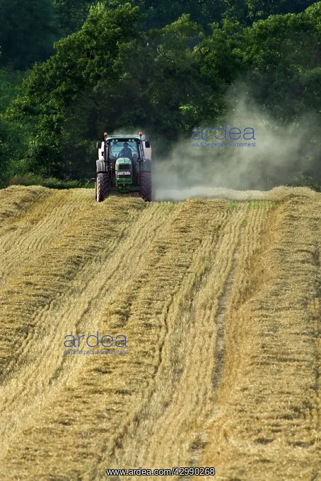 : Tractor pulling straw baling machine in field : Tractor pulling straw baling machine in field