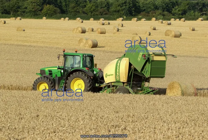 : Tractor pulling straw baling machine in field : Tractor pulling straw baling machine in field