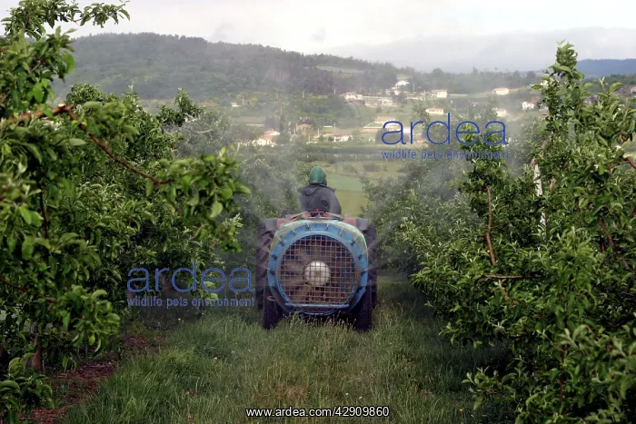 : Tractor - spraying Orchard : Tractor - spraying Orchard