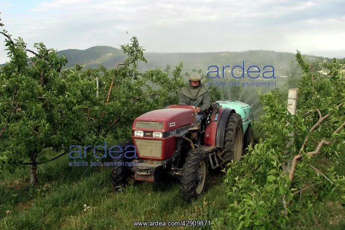 : Tractor - spraying Orchard : Tractor - spraying Orchard