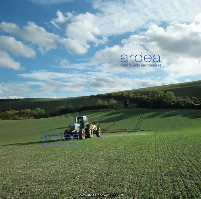: Tractor spraying seedling wheat crop, UK : Tractor spraying seedling wheat crop, UK