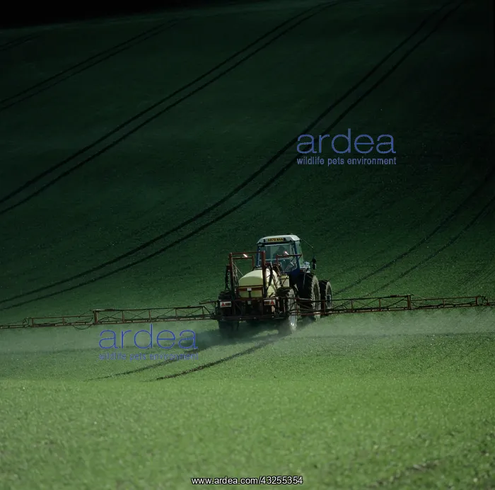 : Tractor spraying seedling wheat crop, UK : Tractor spraying seedling wheat crop, UK