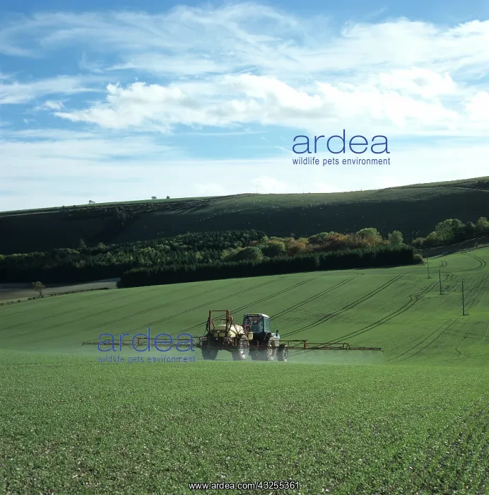 : Tractor spraying seedling wheat crop, UK : Tractor spraying seedling wheat crop, UK