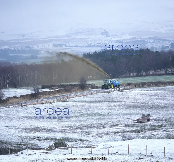 : Tractor spraying slurry : Tractor spraying slurry