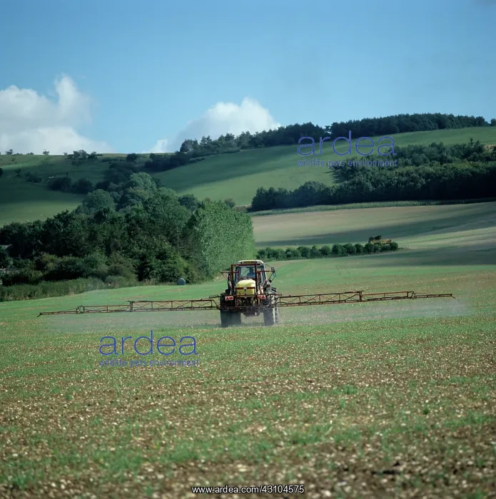 : Tractor spraying weed killer : Tractor spraying weed killer