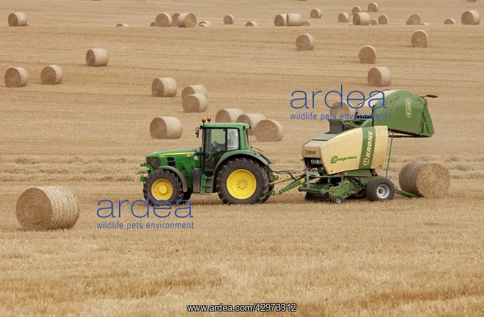 : Tractor stopping to allow hay bale making machine : Tractor stopping to allow hay bale making machine