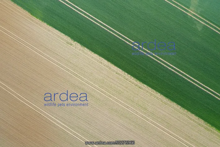 : Tractor tracks : Tractor tracks