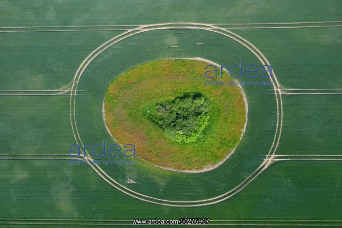 : Tractor tracks : Tractor tracks