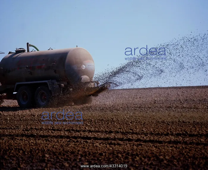 : Tractor trailer, slurry, field Fertilisation in spring : Tractor trailer, slurry, field Fertilisation in spring