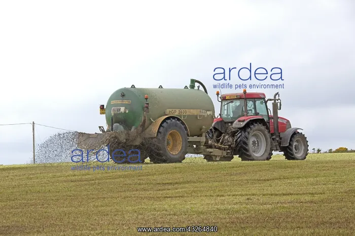 : Tractor working with muck spreader Pembrokeshire : Tractor working with muck spreader Pembrokeshire