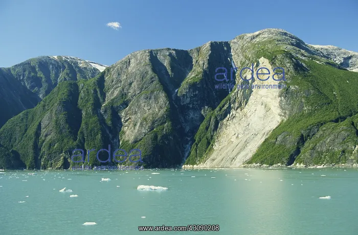 : Tracy Arm Fjord : Tracy Arm Fjord