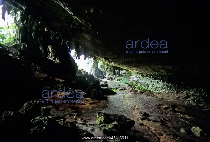 : Traders Cave, Sarawak, Malaysia : Traders Cave, Sarawak, Malaysia