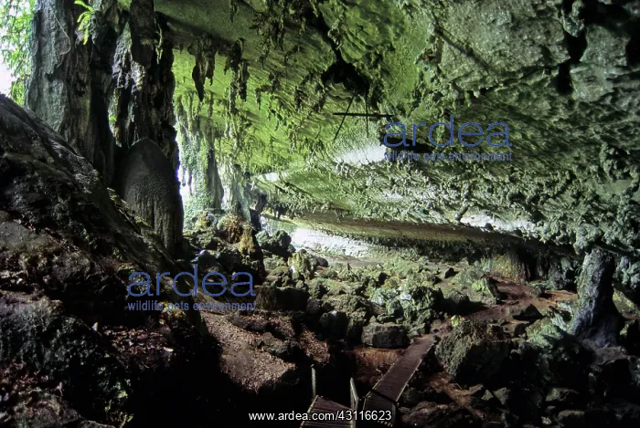 : Traders Cave, Sarawak, Malaysia : Traders Cave, Sarawak, Malaysia