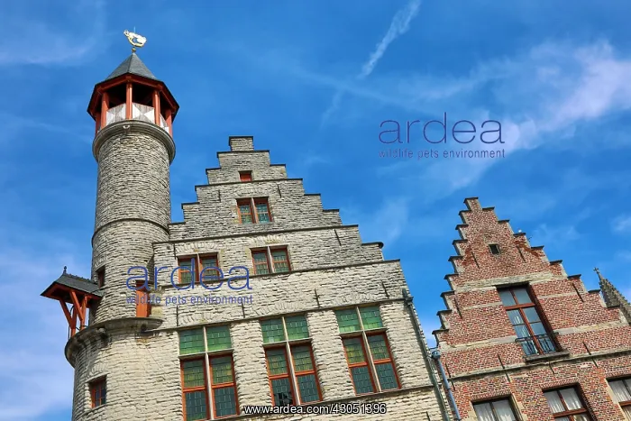 : Traditional architecture of buildings on the Vrijdagmarkt : Traditional architecture of buildings on the Vrijdagmarkt