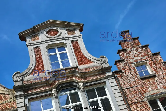 : Traditional architecture on the roofs of houses : Traditional architecture on the roofs of houses