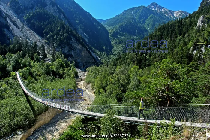: Traditional Bhutanese hanging walkway, Bhutan bridge : Traditional Bhutanese hanging walkway, Bhutan bridge