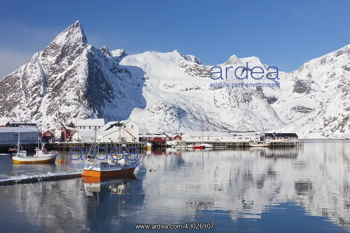 : Traditional cabins in the idyllic fishing village : Traditional cabins in the idyllic fishing village