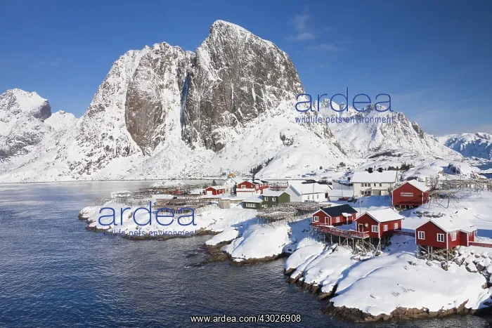 : Traditional cabins in the idyllic fishing village : Traditional cabins in the idyllic fishing village