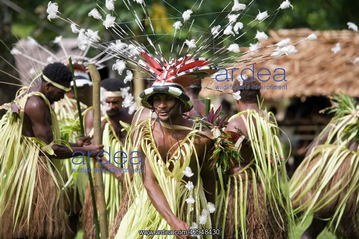 : Traditional dancers : Traditional dancers