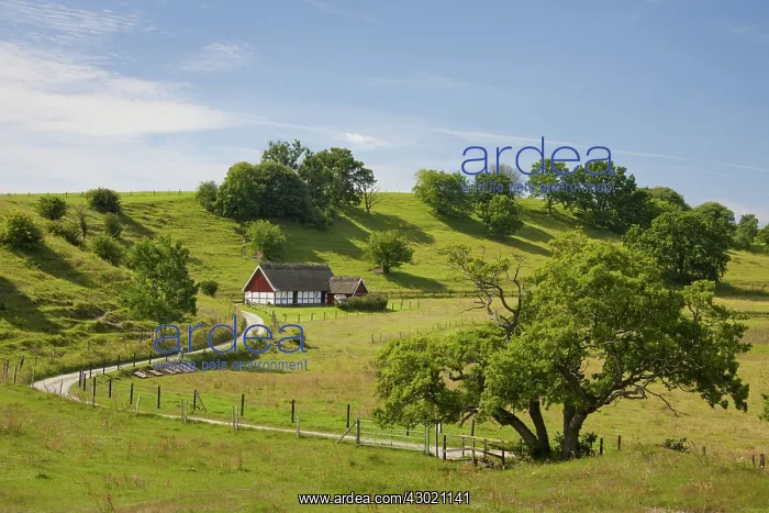  : Traditional farmhouse Broesarps backar