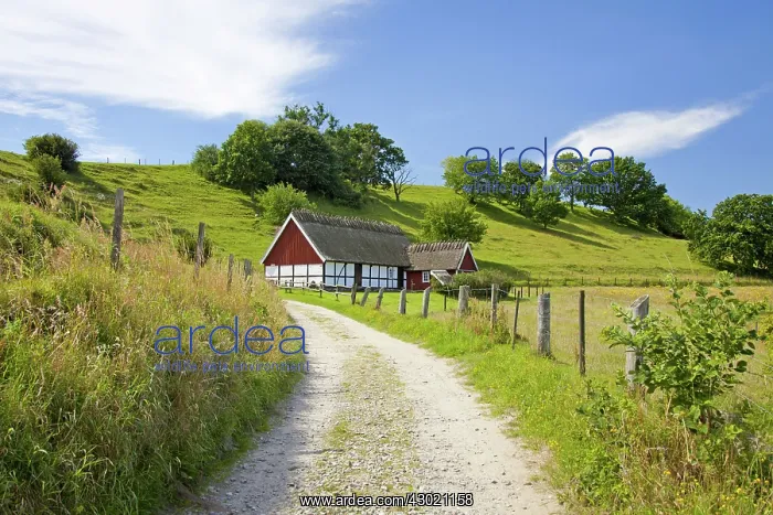  : Traditional farmhouse Broesarps backar