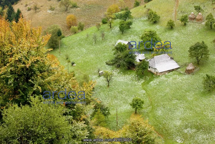 : Traditional farming with old houses, barns, fruit : Traditional farming with old houses, barns, fruit