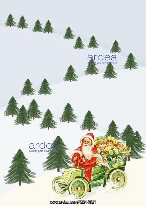 : Traditional Father Christmas illustration : Traditional Father Christmas illustration