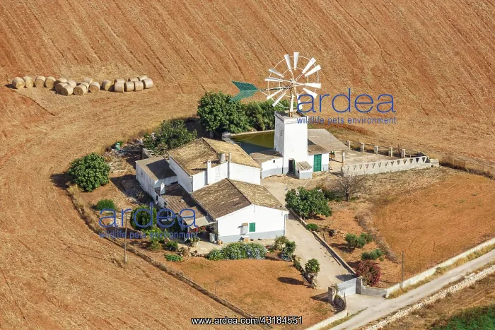 : Traditional finca farm with windmill landscape aerial : Traditional finca farm with windmill landscape aerial