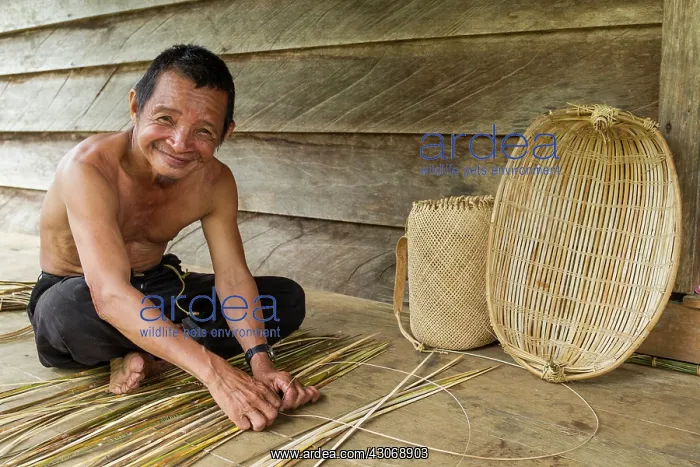 : traditional fish basket Tangguk'WWF-Indonesia : traditional fish basket Tangguk'WWF-Indonesia