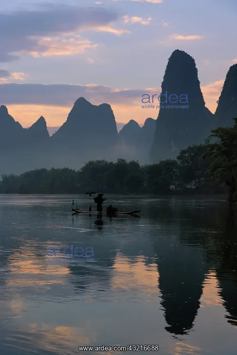 : Traditional fisherman with his cormorants : Traditional fisherman with his cormorants