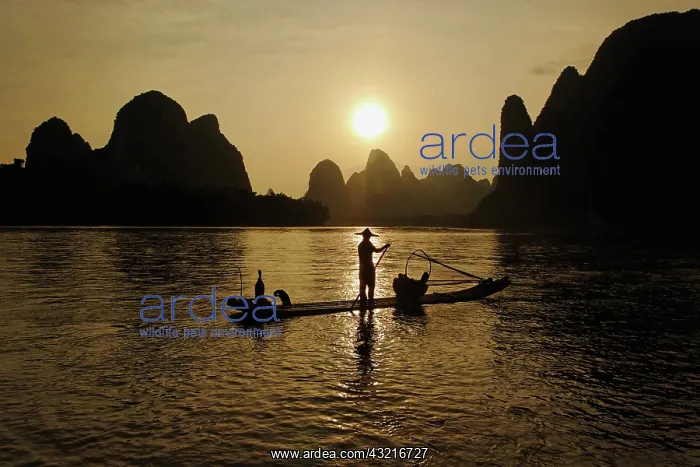 : Traditional fisherman with cormorants and : Traditional fisherman with cormorants and