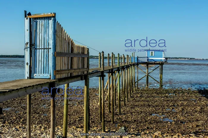  : Traditional fishing huts on stilts carrelets near