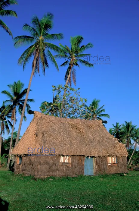 : Traditional grass home Kadavu Fiji : Traditional grass home Kadavu Fiji