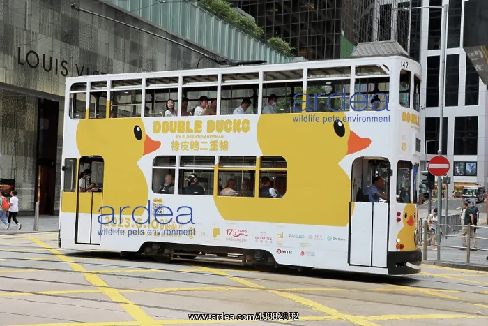 : Traditional Hong Kong tram in Central, Hong Kong, China : Traditional Hong Kong tram in Central, Hong Kong, China