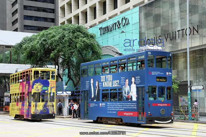: Traditional Hong Kong trams in Central, Hong Kong, China : Traditional Hong Kong trams in Central, Hong Kong, China