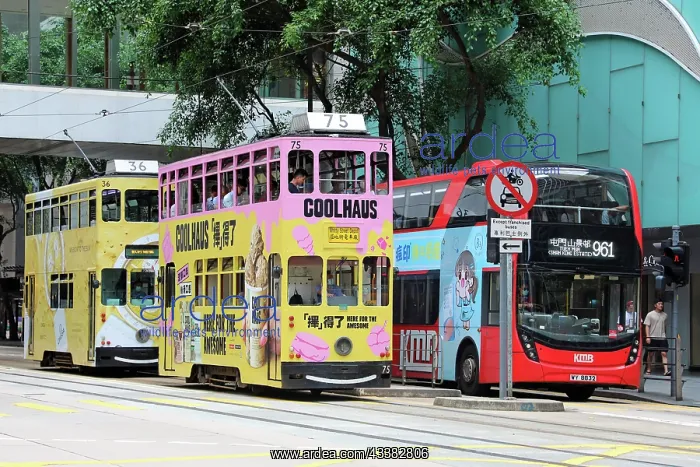 : Traditional Hong Kong trams in Central, Hong Kong, China : Traditional Hong Kong trams in Central, Hong Kong, China