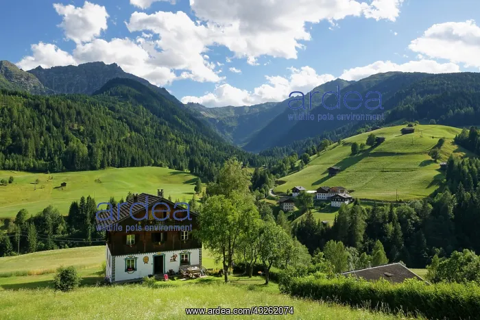 : Traditional house, Carnic Alps, Maria Luggau, Lesachtal : Traditional house, Carnic Alps, Maria Luggau, Lesachtal