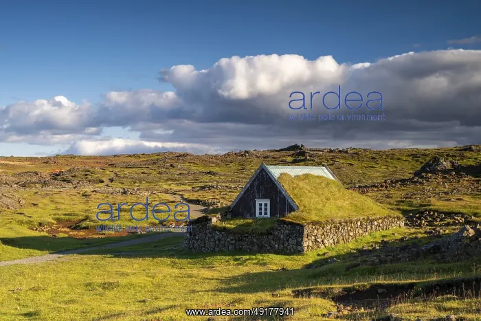 : Traditional house at the Hveravellir geothermal area : Traditional house at the Hveravellir geothermal area