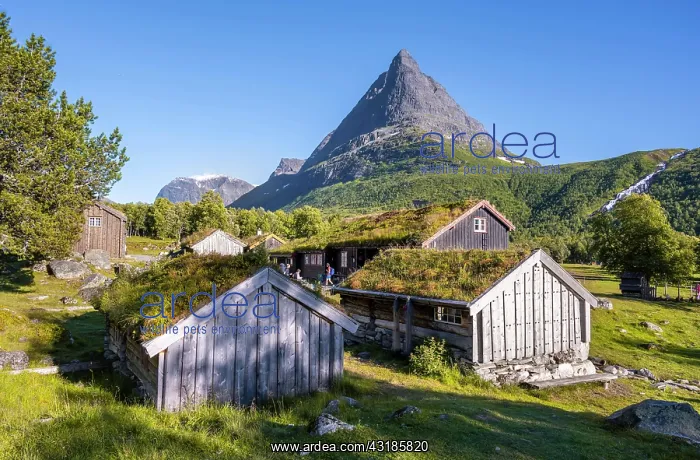 : Traditional houses, Renndclsetra, Innerdalen High : Traditional houses, Renndclsetra, Innerdalen High
