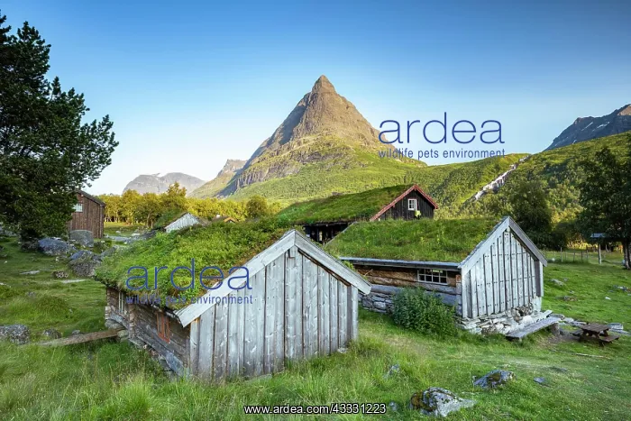 : Traditional houses, Renndclsetra, Innerdalen High : Traditional houses, Renndclsetra, Innerdalen High